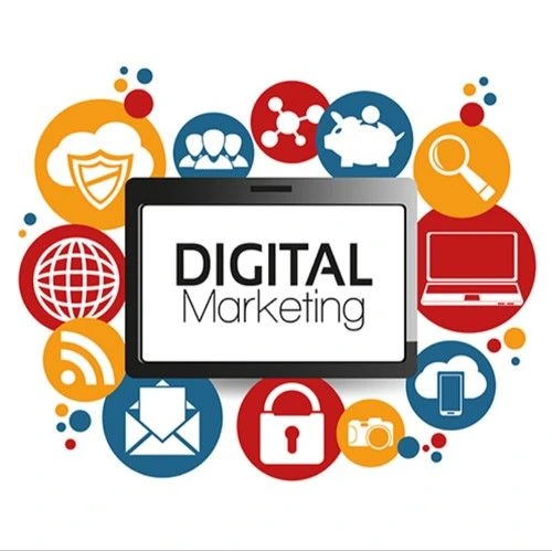 The digital marketing agency that Kerala businesses trust to help them grow.